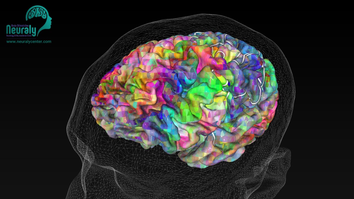 نقشه مغزی برای چیست؟